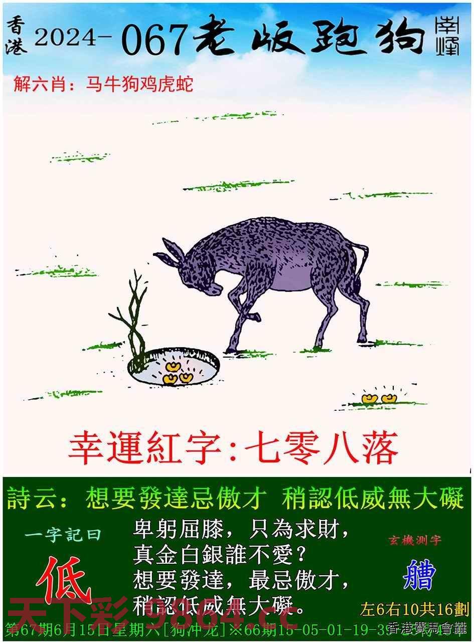 老版跑狗图